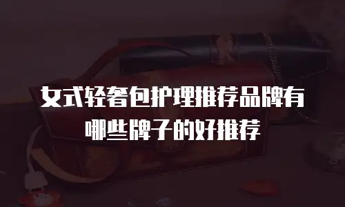 女式轻奢包护理推荐品牌有哪些牌子的好推荐
