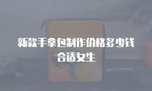 新款手拿包制作价格多少钱合适女生