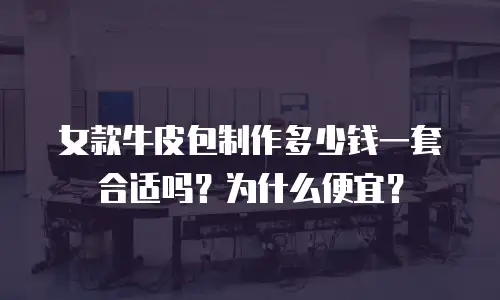 女款牛皮包制作多少钱一套合适吗？为什么便宜？
