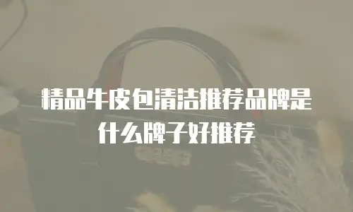 精品牛皮包清洁推荐品牌是什么牌子好推荐