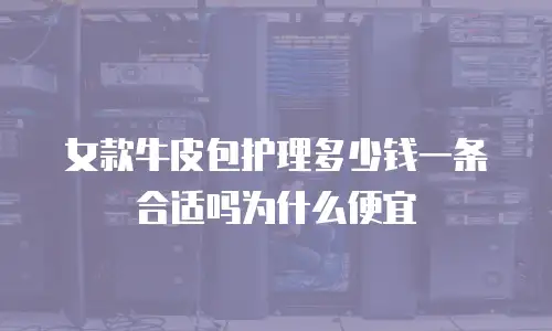 女款牛皮包护理多少钱一条合适吗为什么便宜