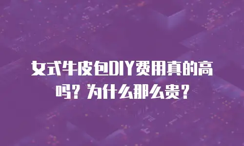 女式牛皮包DIY费用真的高吗？为什么那么贵？