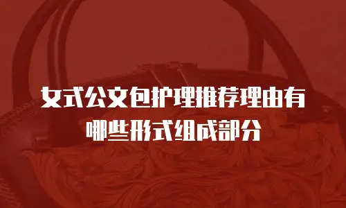 女式公文包护理推荐理由有哪些形式组成部分