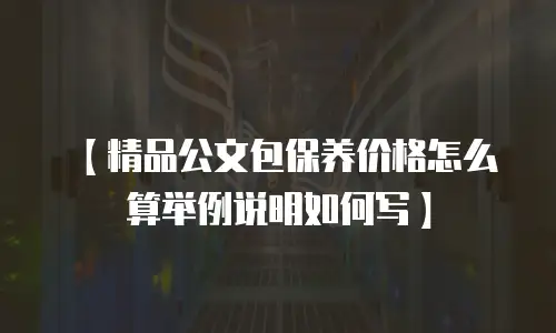 【精品公文包保养价格怎么算举例说明如何写】