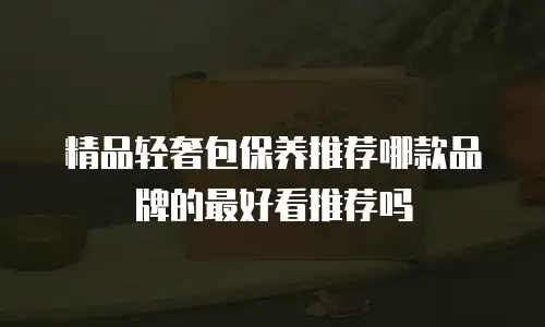 精品轻奢包保养推荐哪款品牌的最好看推荐吗