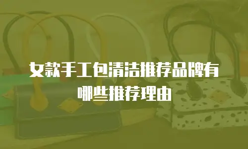 女款手工包清洁推荐品牌有哪些推荐理由