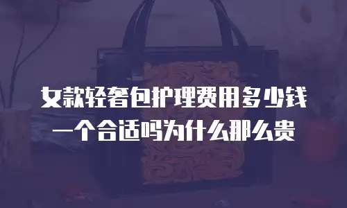 女款轻奢包护理费用多少钱一个合适吗为什么那么贵