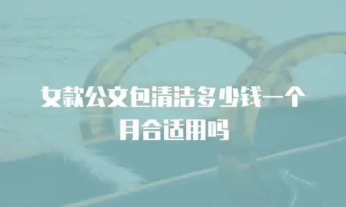 女款公文包清洁多少钱一个月合适用吗