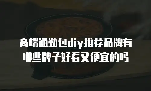 高端通勤包diy推荐品牌有哪些牌子好看又便宜的吗