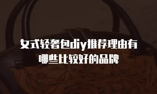 女式轻奢包diy推荐理由有哪些比较好的品牌