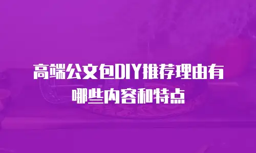 高端公文包DIY推荐理由有哪些内容和特点