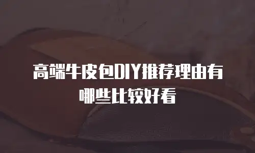 高端牛皮包DIY推荐理由有哪些比较好看