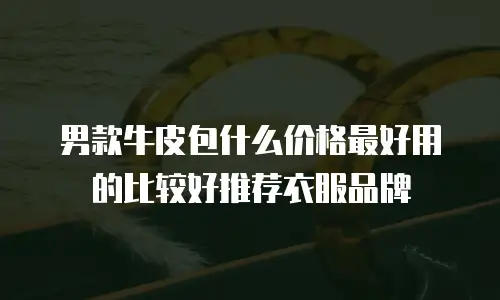 男款牛皮包什么价格最好用的比较好推荐衣服品牌