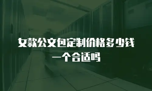 女款公文包定制价格多少钱一个合适吗