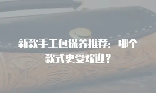 新款手工包保养推荐：哪个款式更受欢迎？