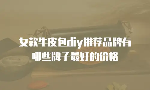 女款牛皮包diy推荐品牌有哪些牌子最好的价格