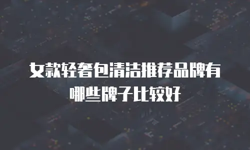 女款轻奢包清洁推荐品牌有哪些牌子比较好