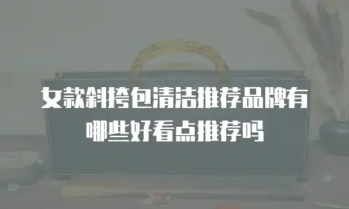 女款斜挎包清洁推荐品牌有哪些好看点推荐吗