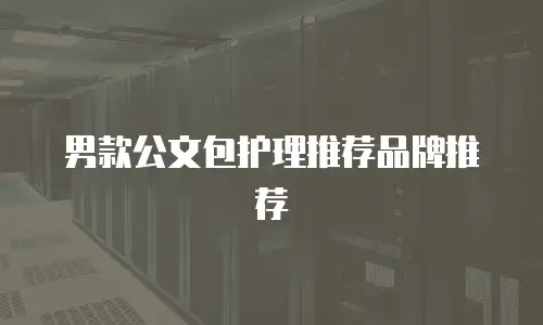 男款公文包护理推荐品牌推荐