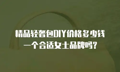 精品轻奢包DIY价格多少钱一个合适女士品牌吗？