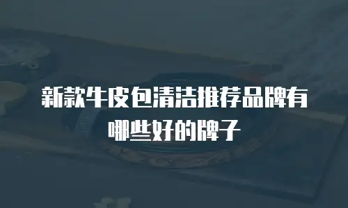 新款牛皮包清洁推荐品牌有哪些好的牌子