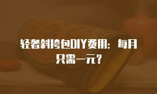 轻奢斜挎包DIY费用：每月只需一元？