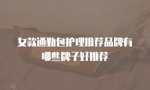 女款通勤包护理推荐品牌有哪些牌子好推荐