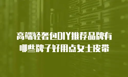 高端轻奢包DIY推荐品牌有哪些牌子好用点女士皮带