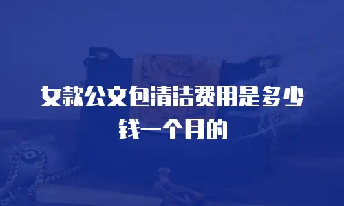 女款公文包清洁费用是多少钱一个月的