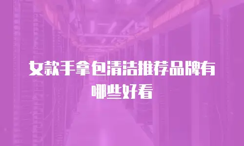 女款手拿包清洁推荐品牌有哪些好看