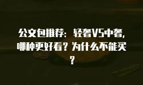 公文包推荐：轻奢VS中奢，哪种更好看？为什么不能买？