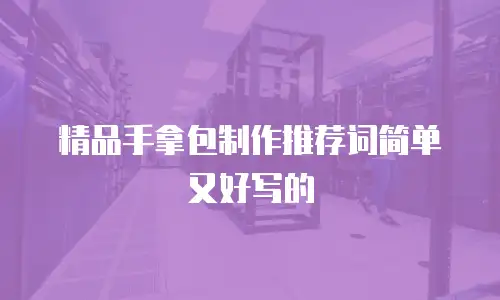 精品手拿包制作推荐词简单又好写的