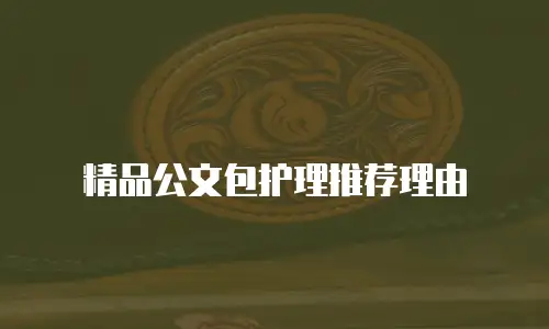 精品公文包护理推荐理由