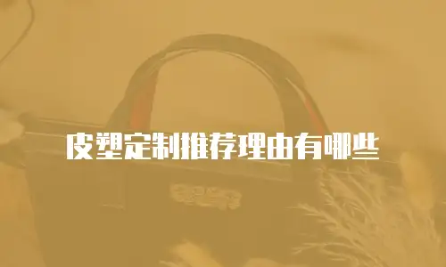 皮塑定制推荐理由有哪些