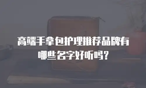 高端手拿包护理推荐品牌有哪些名字好听吗？