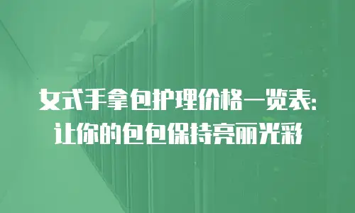 女式手拿包护理价格一览表：让你的包包保持亮丽光彩
