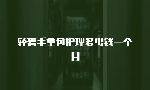 轻奢手拿包护理多少钱一个月