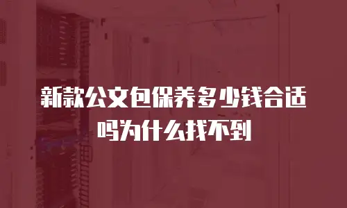 新款公文包保养多少钱合适吗为什么找不到