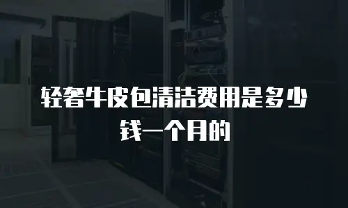 轻奢牛皮包清洁费用是多少钱一个月的