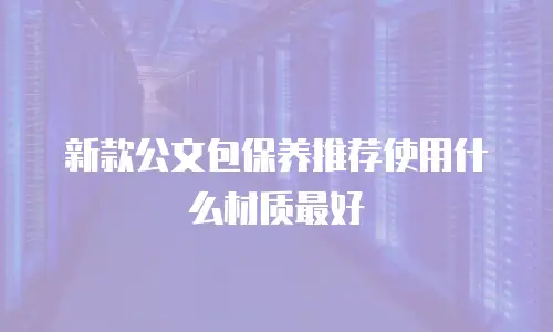 新款公文包保养推荐使用什么材质最好