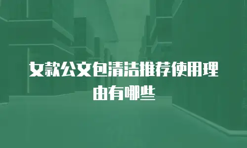 女款公文包清洁推荐使用理由有哪些