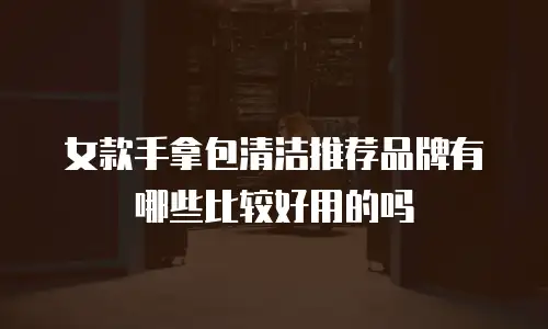 女款手拿包清洁推荐品牌有哪些比较好用的吗