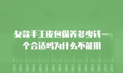 女款手工皮包保养多少钱一个合适吗为什么不能用