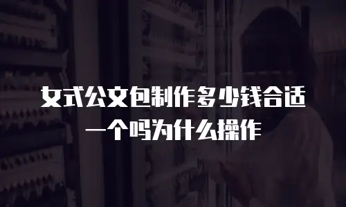 女式公文包制作多少钱合适一个吗为什么操作