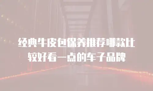 经典牛皮包保养推荐哪款比较好看一点的车子品牌