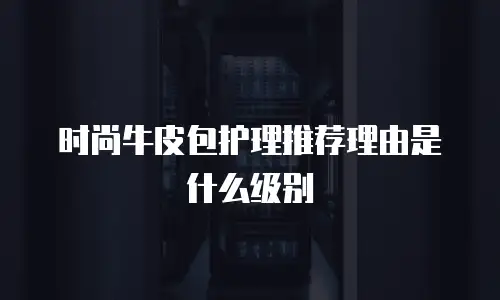 时尚牛皮包护理推荐理由是什么级别