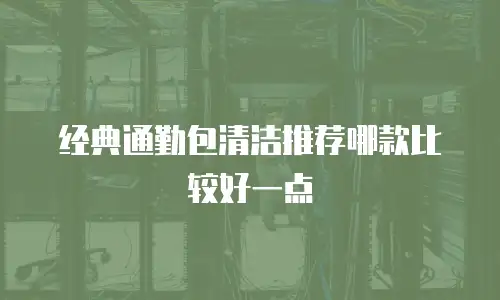 经典通勤包清洁推荐哪款比较好一点