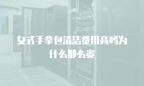 女式手拿包清洁费用高吗为什么那么贵