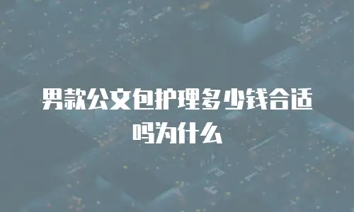 男款公文包护理多少钱合适吗为什么
