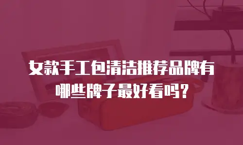 女款手工包清洁推荐品牌有哪些牌子最好看吗？